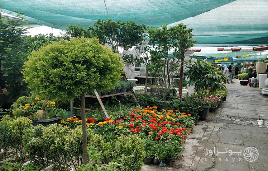 بازار گل مشهد؛ انواع درختچه و گلدان‌های مختلف در فضایی باز چیده شده که سقف پارچه‌ای سبزرنگی بالای آن کشیده شده‌است.